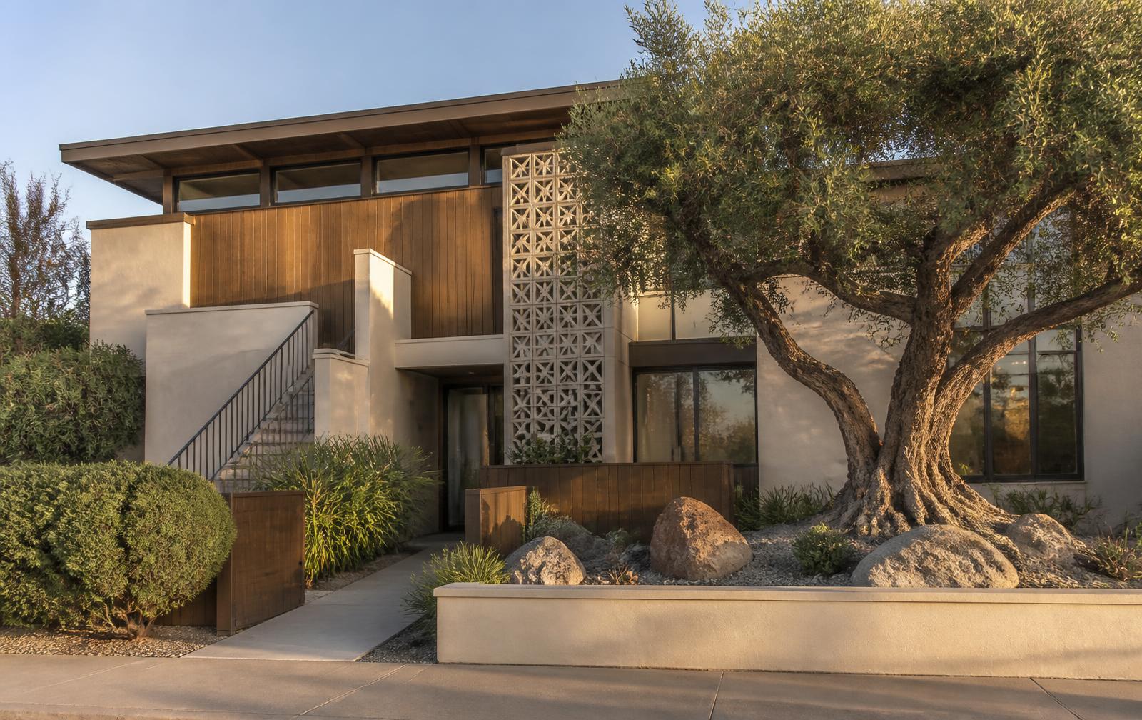 Understated modern small multifamily property with walnut siding and a stone garden